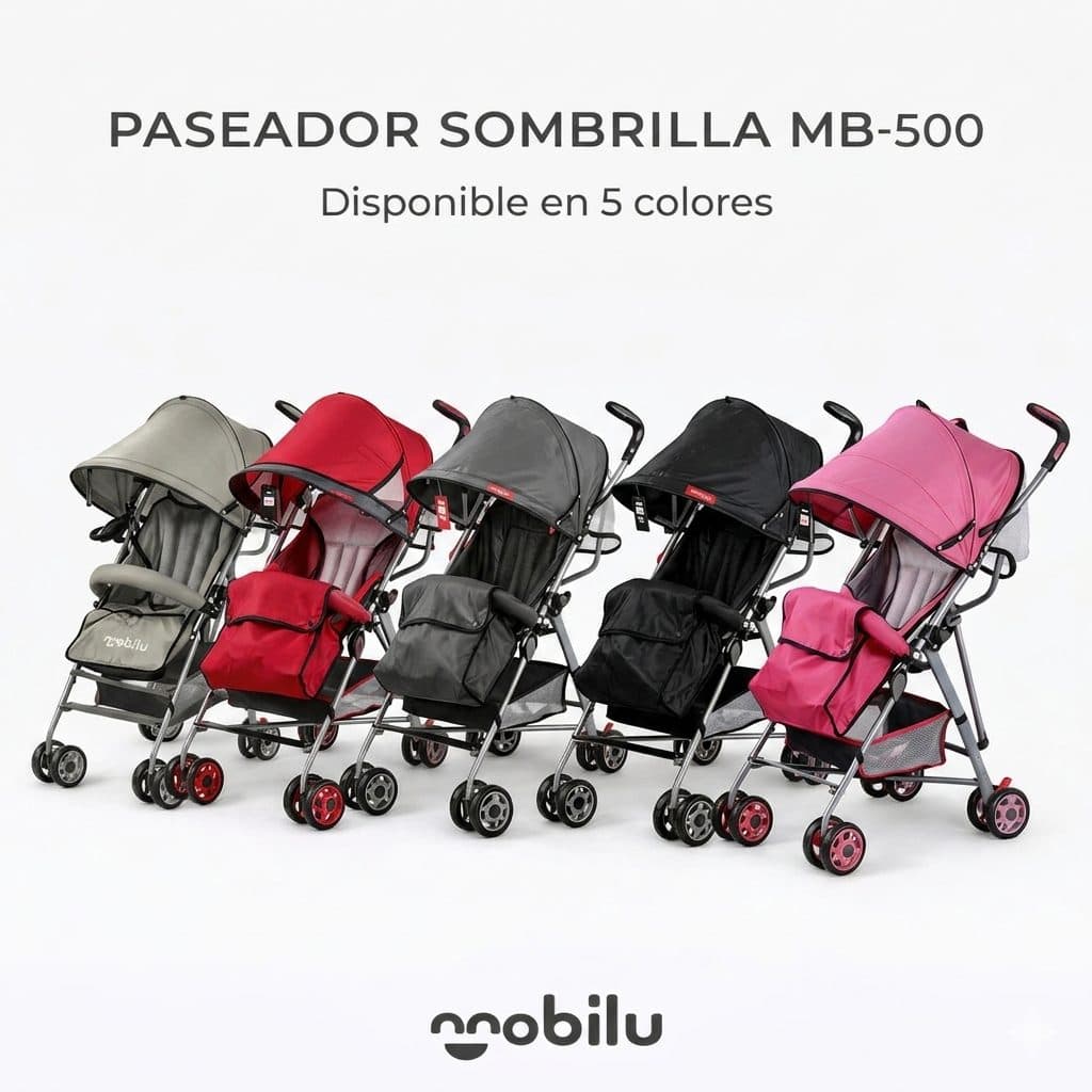 Coche paseador